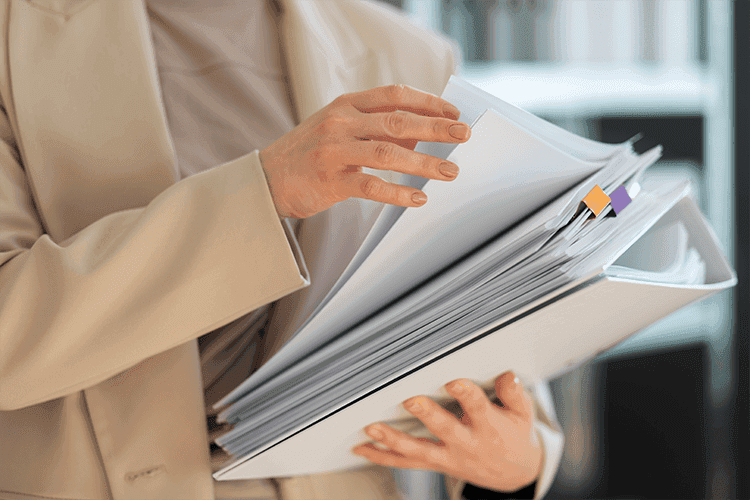 Auditor with files